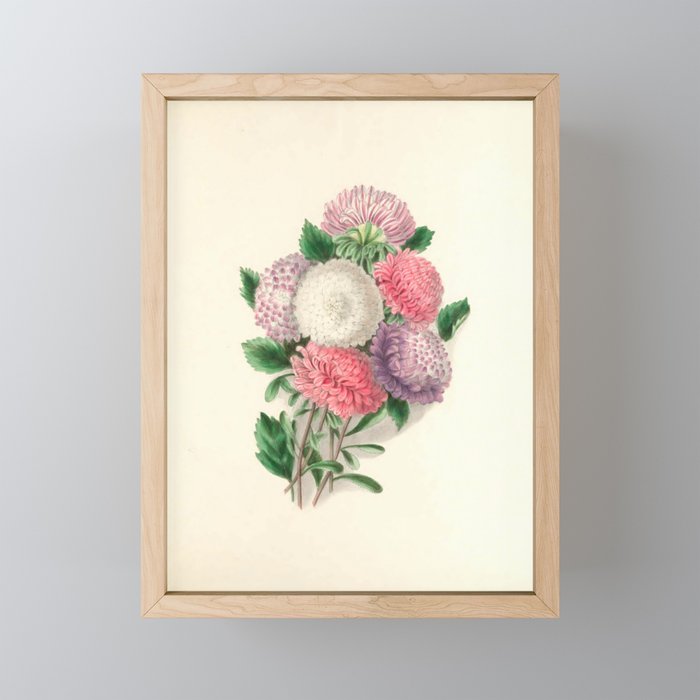  Asters by Clarissa Munger Badger, "Floral Belles," 1866 (benefitting The Nature Conservancy) Mini Art Print Gallery Image 1