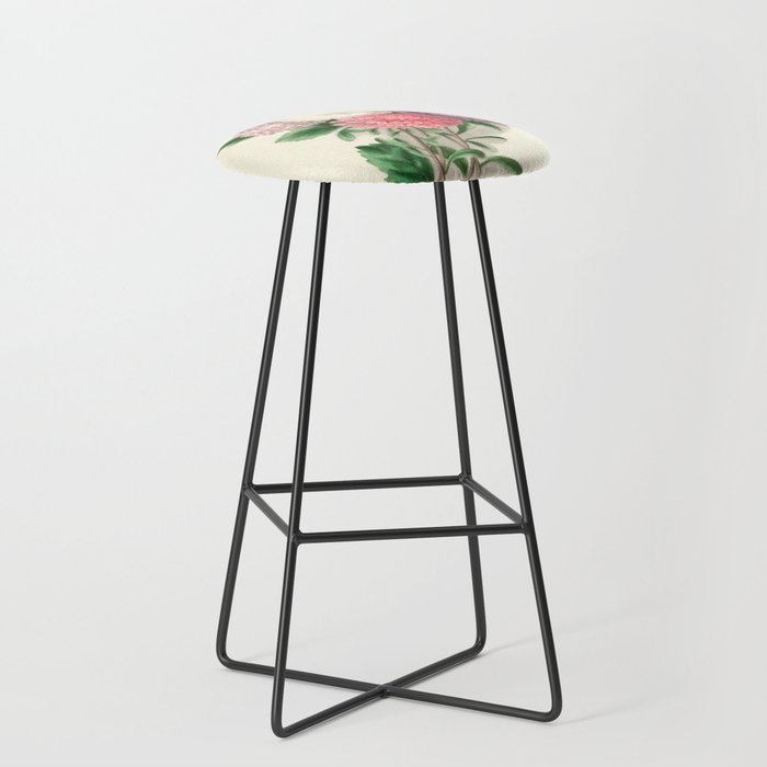  Asters by Clarissa Munger Badger, "Floral Belles," 1866 (benefitting The Nature Conservancy) Stool Gallery Image 1