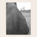 Odd Best Friends, Sweet Little Girl hugging elephant black and white photograph Notebook Gallery Image 4