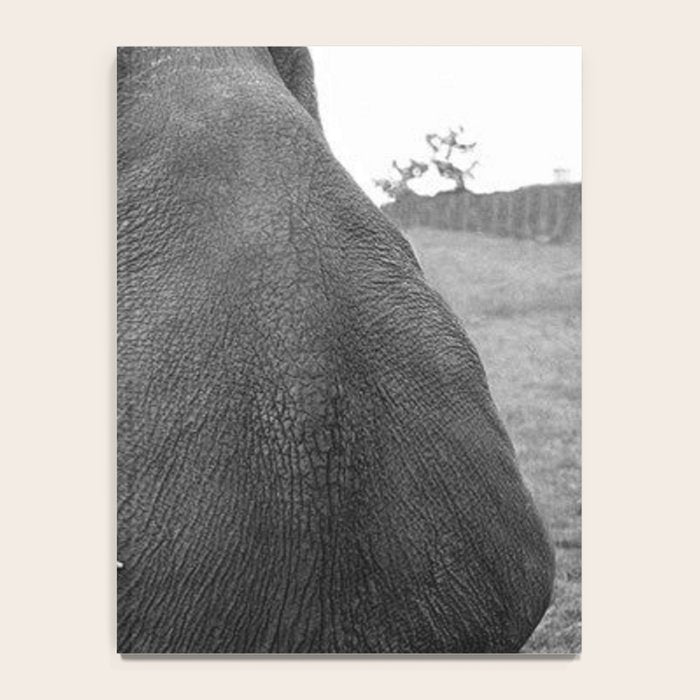 Odd Best Friends, Sweet Little Girl hugging elephant black and white photograph Notebook Gallery Image 4