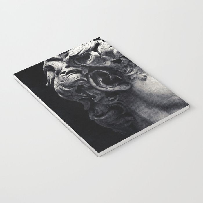 Crying David Notebook Gallery Image 3