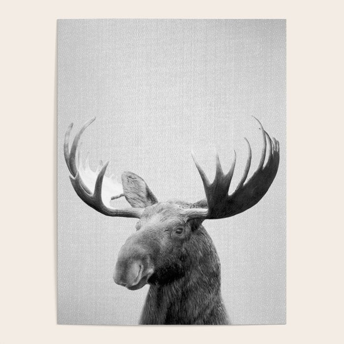 Moose - Black & White Poster Gallery Image 1