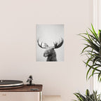 Moose - Black & White Poster Gallery Image 2