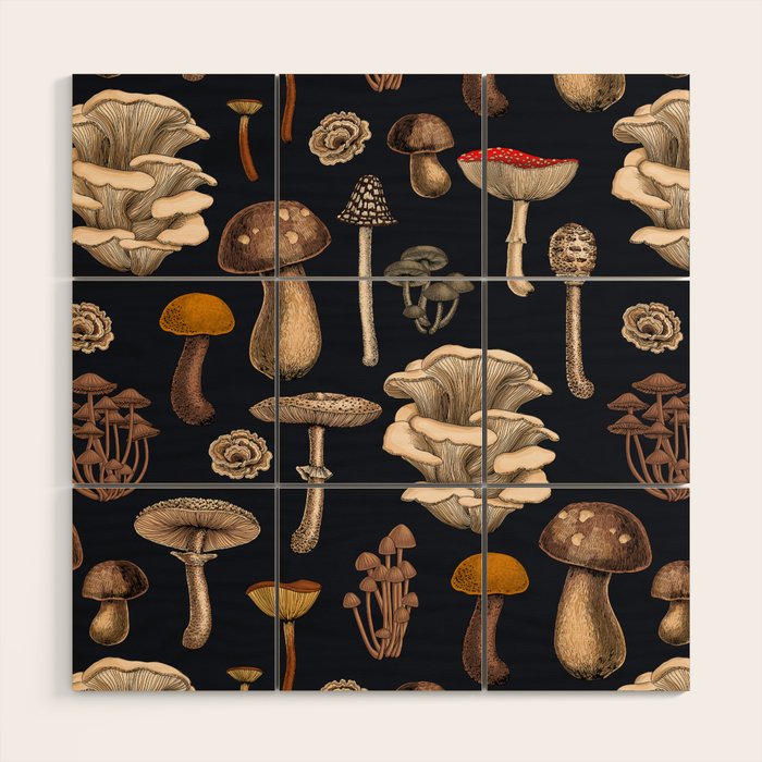 Wild Mushrooms  on graphite black Wood Wall Art Gallery Image 1