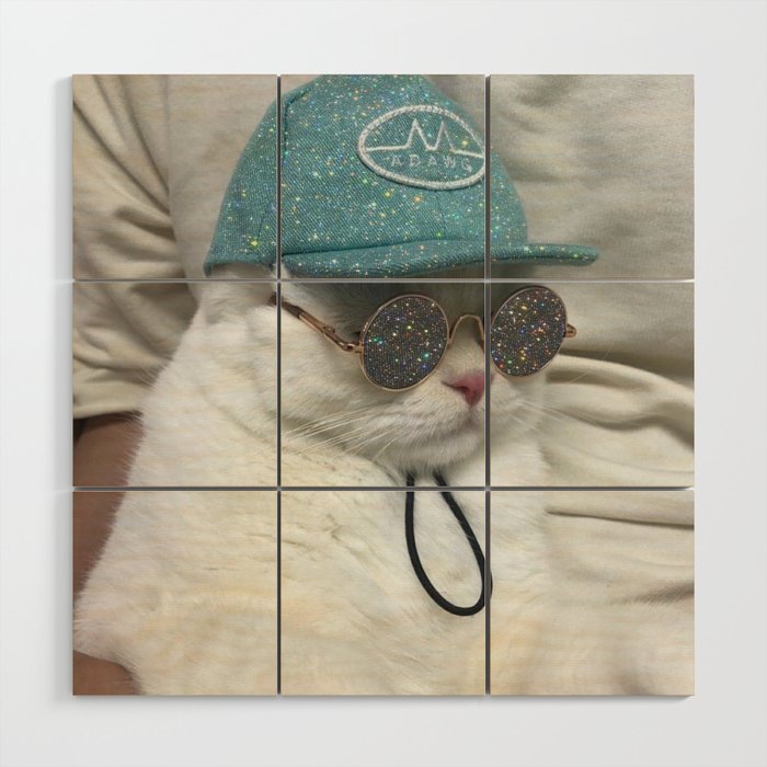 BIG BOSS | cat | blue hat | glasses | sunny | summer | positive vibes | glitter | pet | animal | Wood Wall Art Gallery Image 1