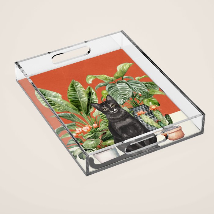 Black Cat And House Plants 3 Acrylic Tray Gallery Image 1