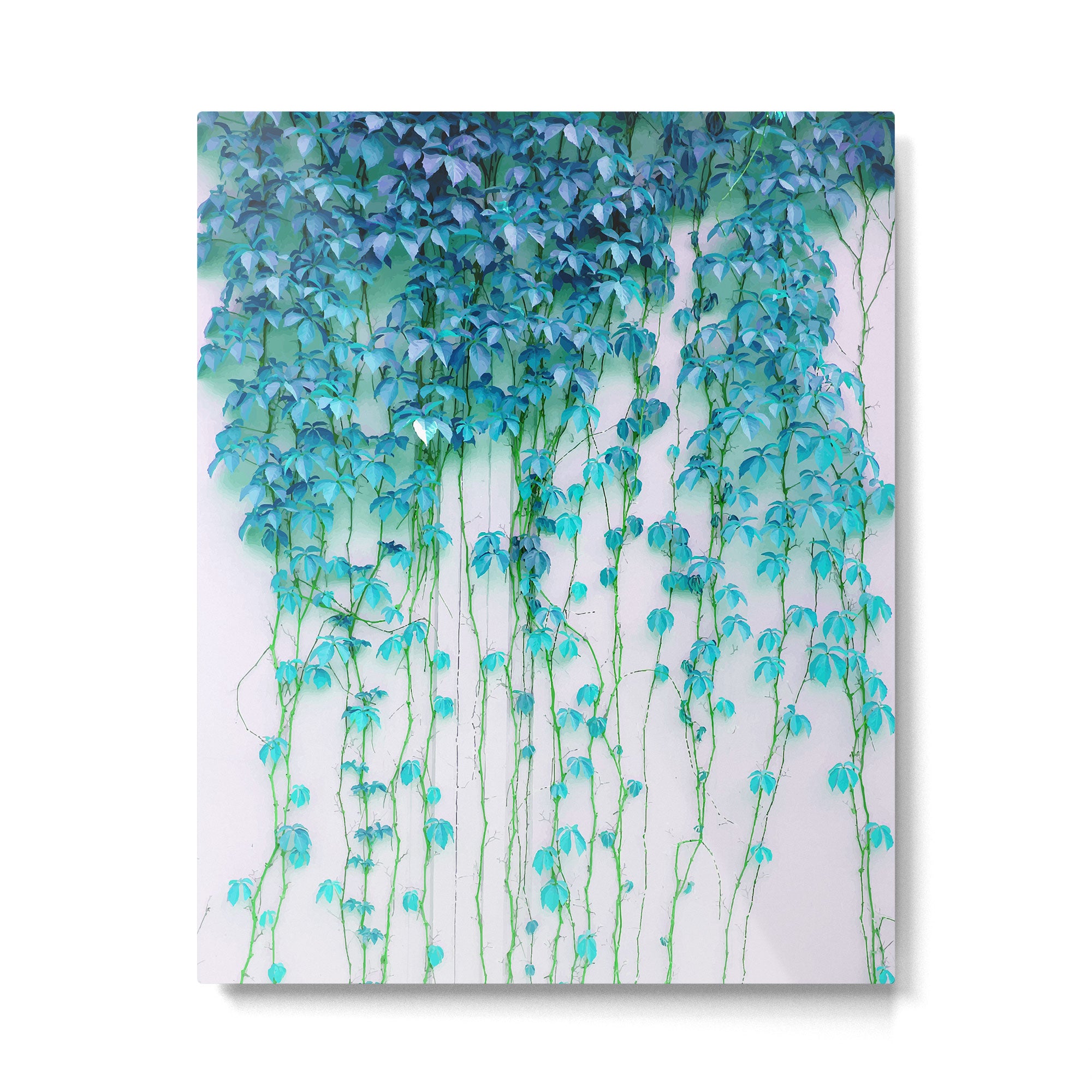 Average Absence, Botanical Minimal Nature Creepers Plants, Tropical Watercolor Bohemian Painting Metal Print Gallery Image 4