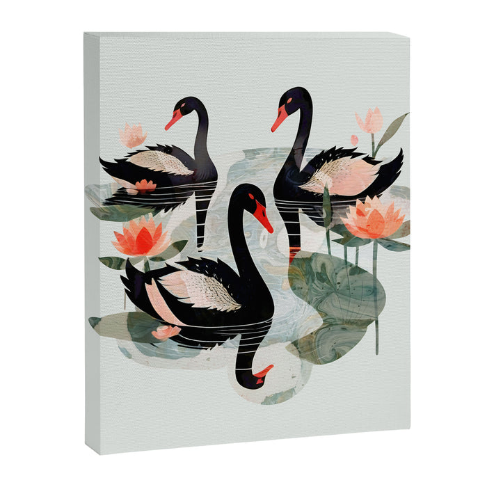 Black Swans Canvas Print Gallery Image 1
