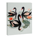 Black Swans Canvas Print Gallery Image 6