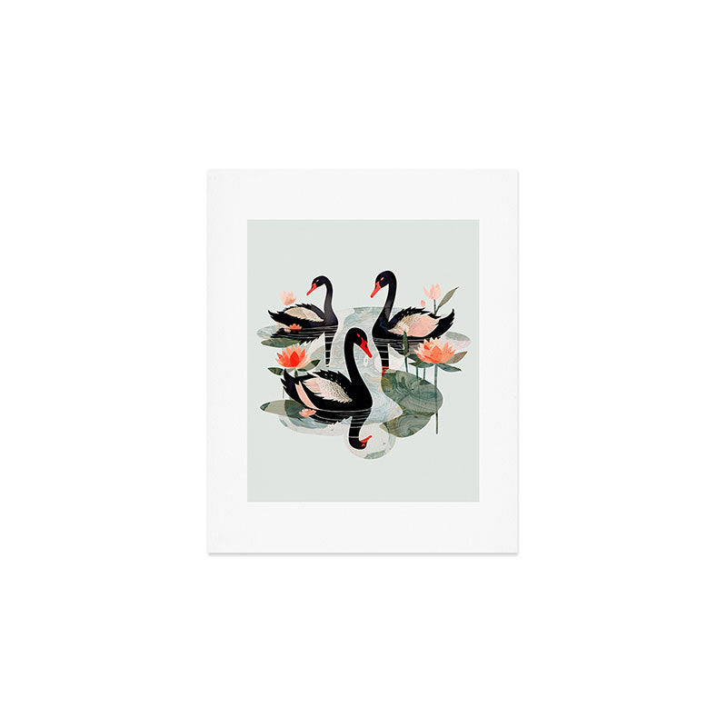 Black Swans Art Print Gallery Image 1