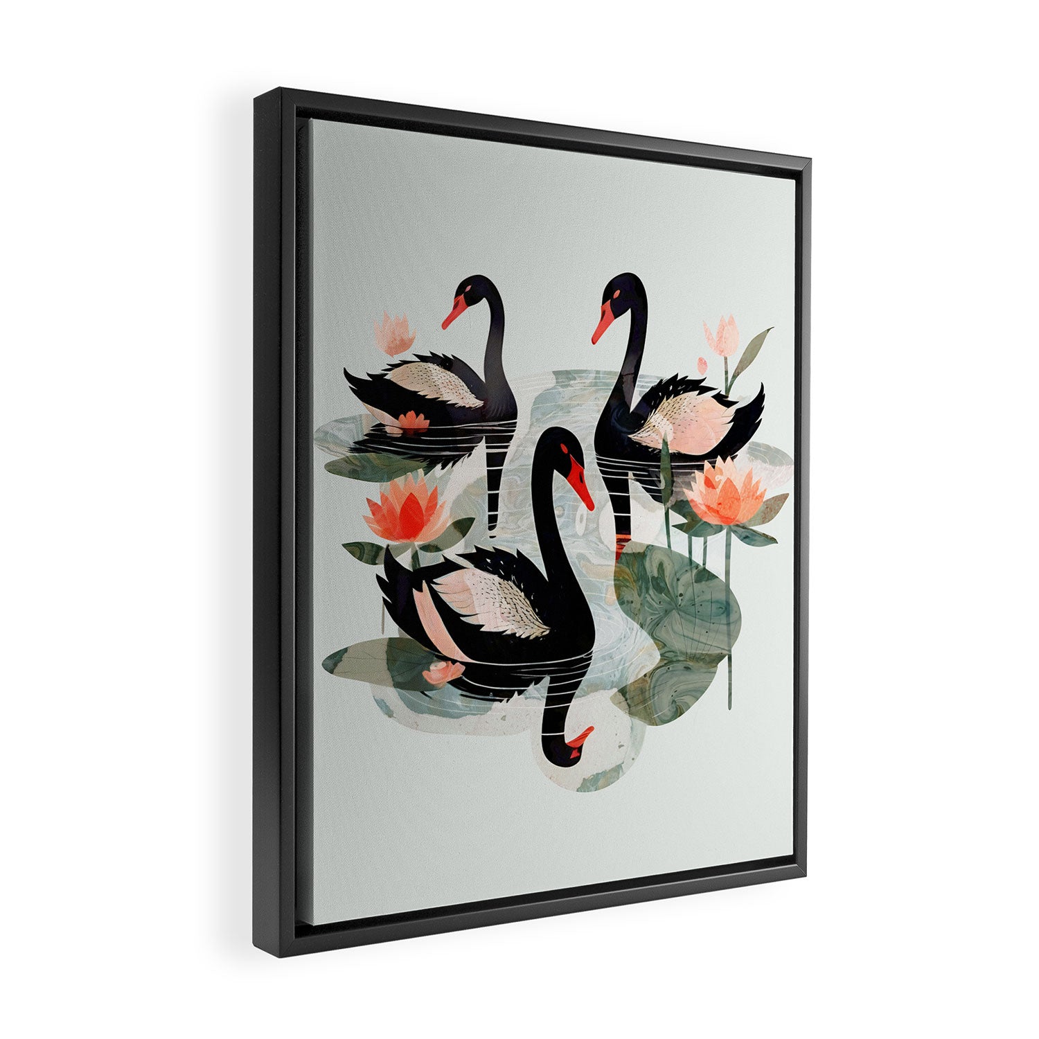 Black Swans Framed Canvas Print Gallery Image 2