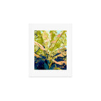 Blush Banana Tree Art Print Gallery Image 1