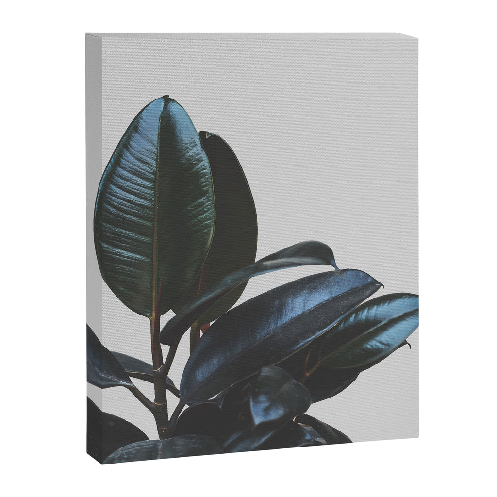 Botanical Art V4 #society6 #decor #lifestyle Canvas Print Gallery Image 8