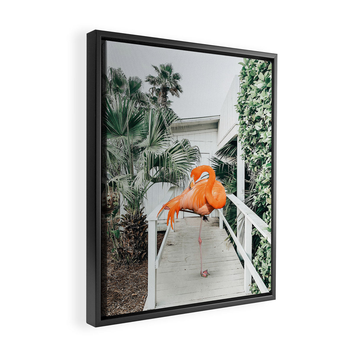 Flamingo Beach House, Wildlife Architecture Jungle Photography, Eclectic Birds Digital Art Framed Canvas Print Gallery Image 2