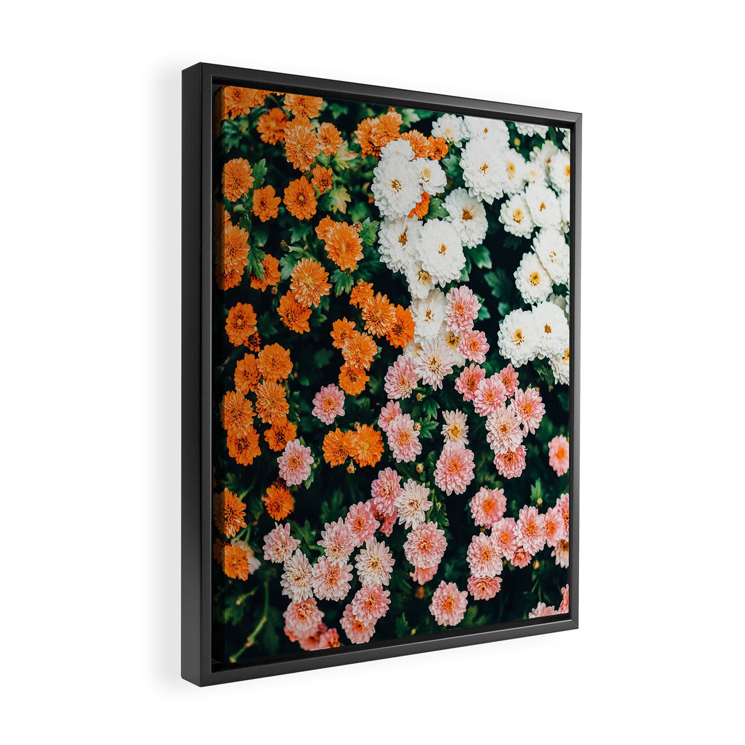 In My Garden Framed Canvas Print Gallery Image 2