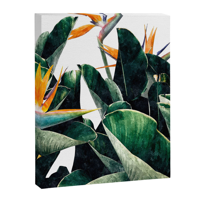 Paradise Bird, Nature Botanical Plant Floral, Tropical Garden Watercolor Painting Canvas Print Gallery Image 1