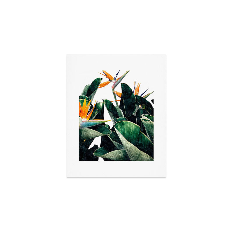 Paradise Bird, Nature Botanical Plant Floral, Tropical Garden Watercolor Painting Art Print Gallery Image 1