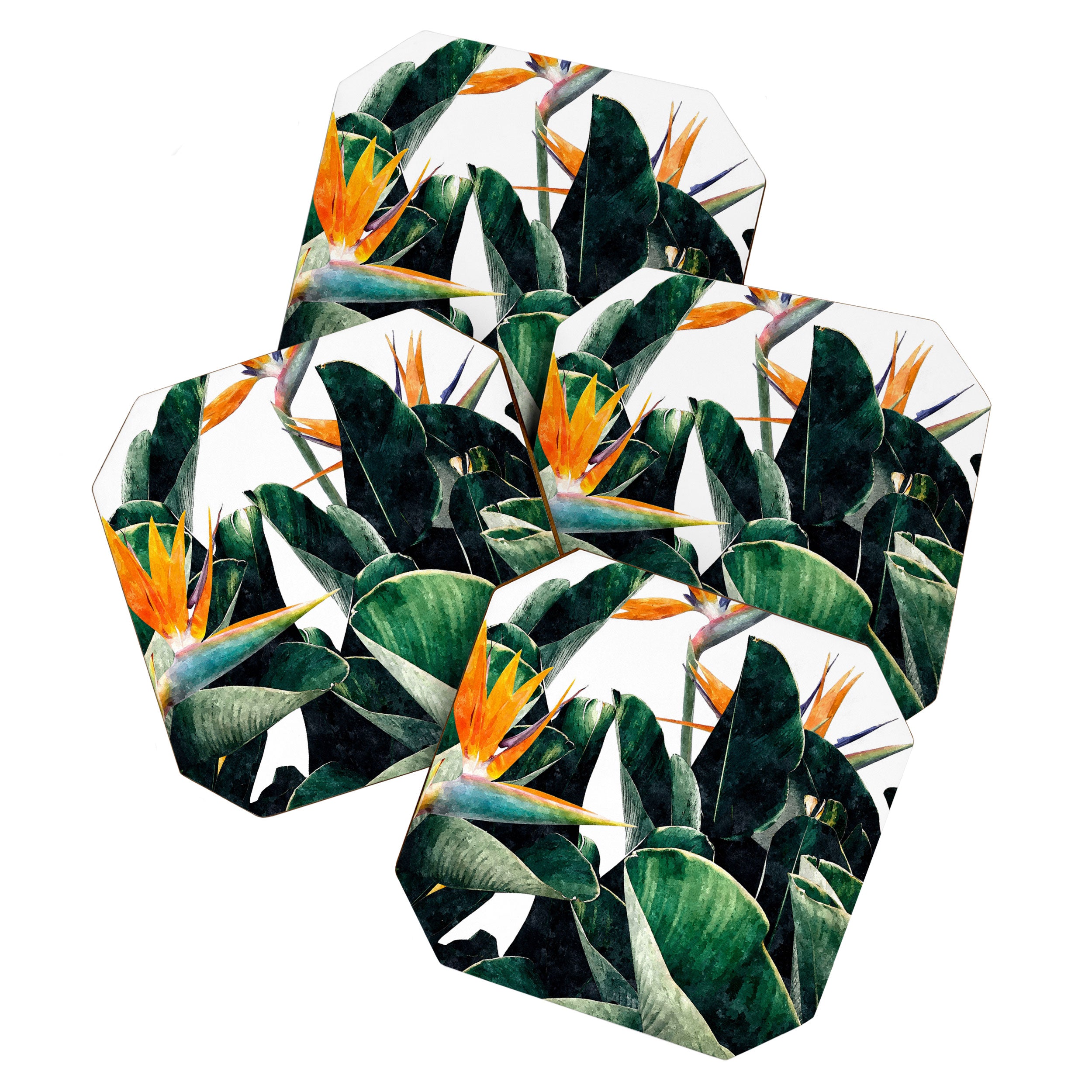 Paradise Bird, Nature Botanical Plant Floral, Tropical Garden Watercolor Painting Coaster Gallery Image 1