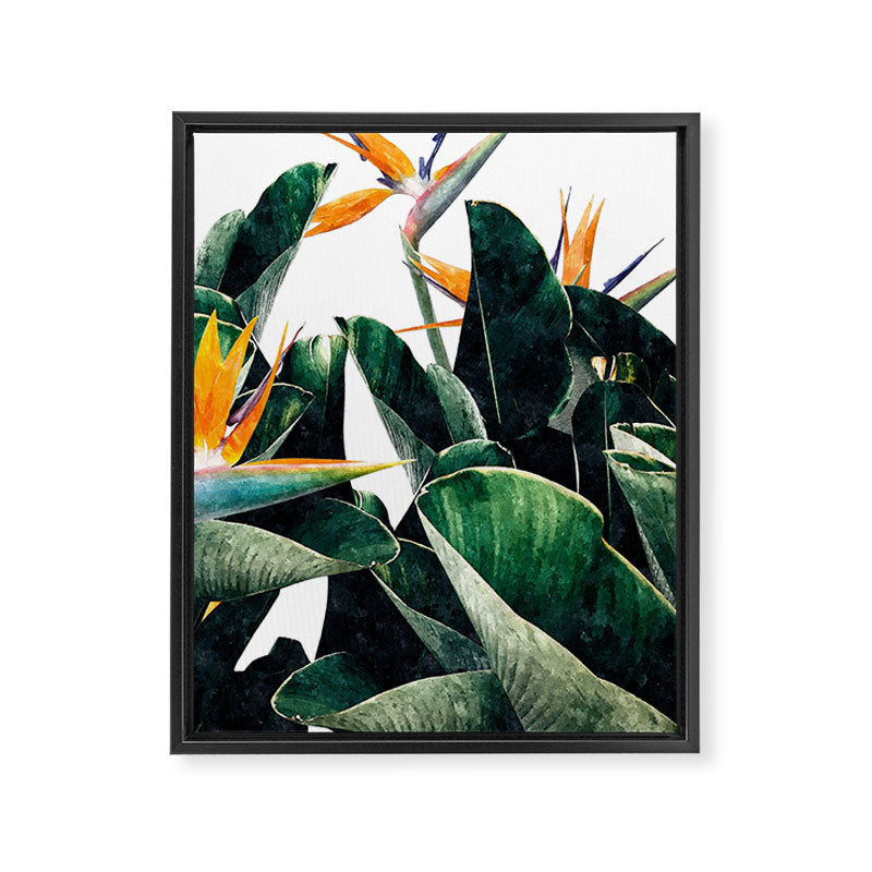 Paradise Bird, Nature Botanical Plant Floral, Tropical Garden Watercolor Painting Framed Canvas Print Gallery Image 6