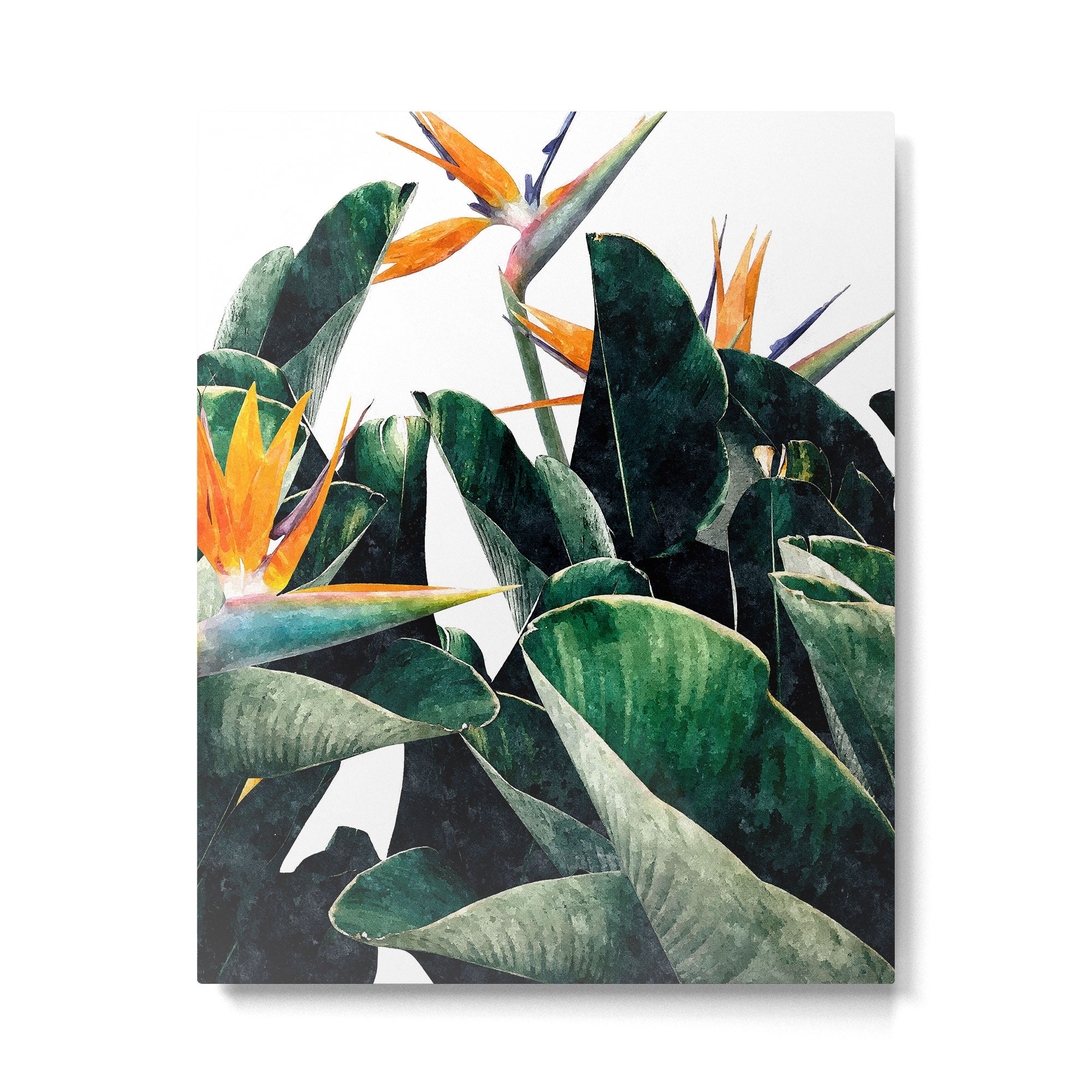 Paradise Bird, Nature Botanical Plant Floral, Tropical Garden Watercolor Painting Metal Print Gallery Image 4
