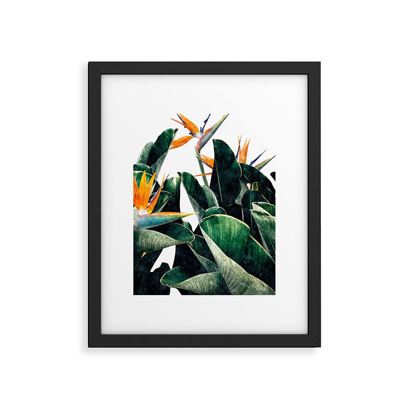 Paradise Bird, Nature Botanical Plant Floral, Tropical Garden Watercolor Painting Framed Art Print Gallery Image 5