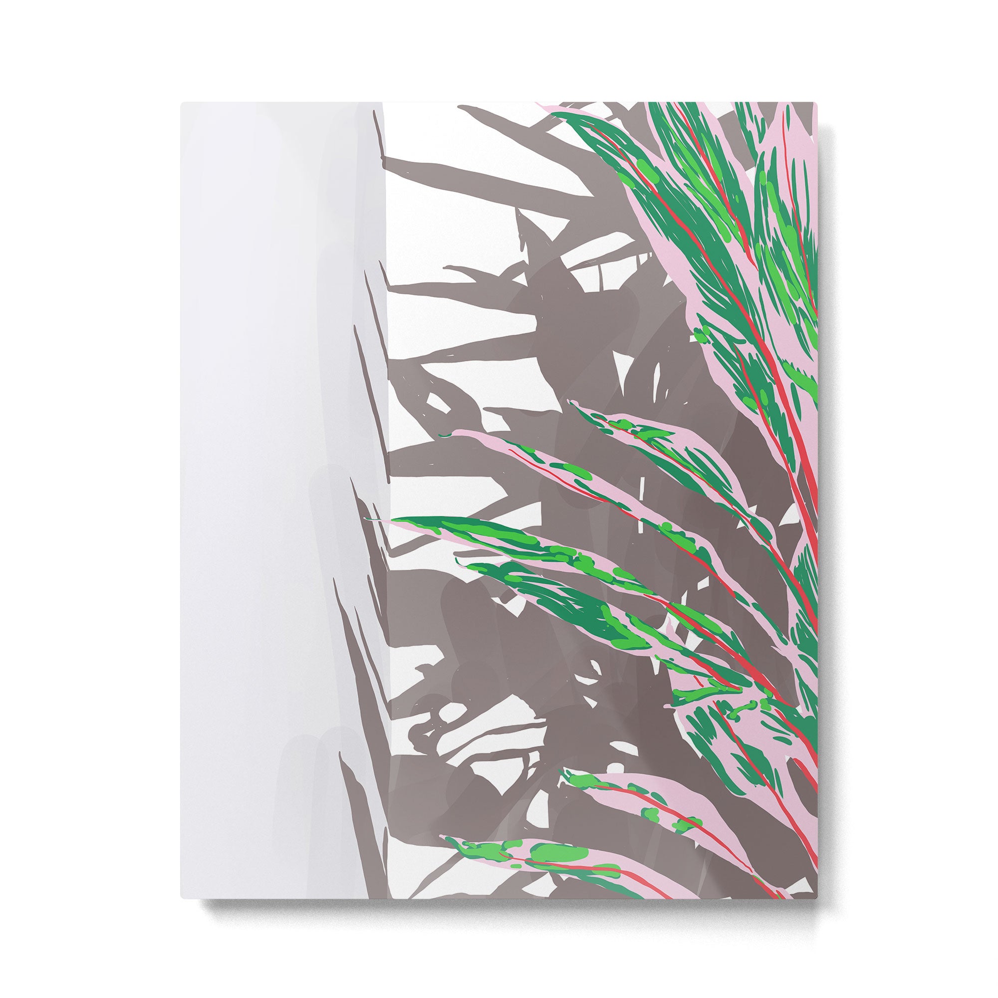 Plant & Shadow Metal Print Gallery Image 4