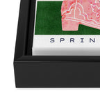 Shoe Planters Framed Canvas Print Gallery Image 3