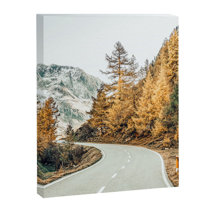 Snow + Golden Pine Photography Landscape Wall Decor, Scenic Nature Canvas Print Gallery Image 1
