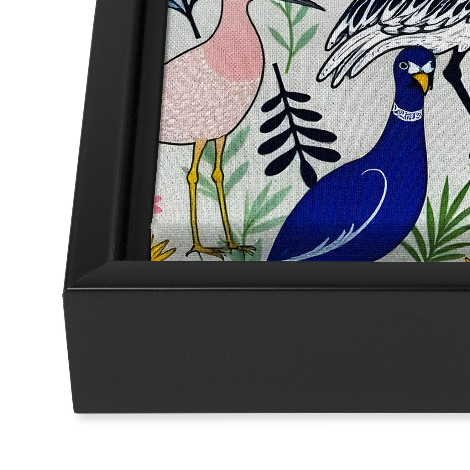 The Aviary Almanac Framed Canvas Print Gallery Image 3