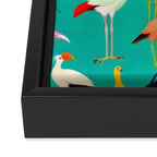 The Dance of Bird Colors Framed Canvas Print Gallery Image 3