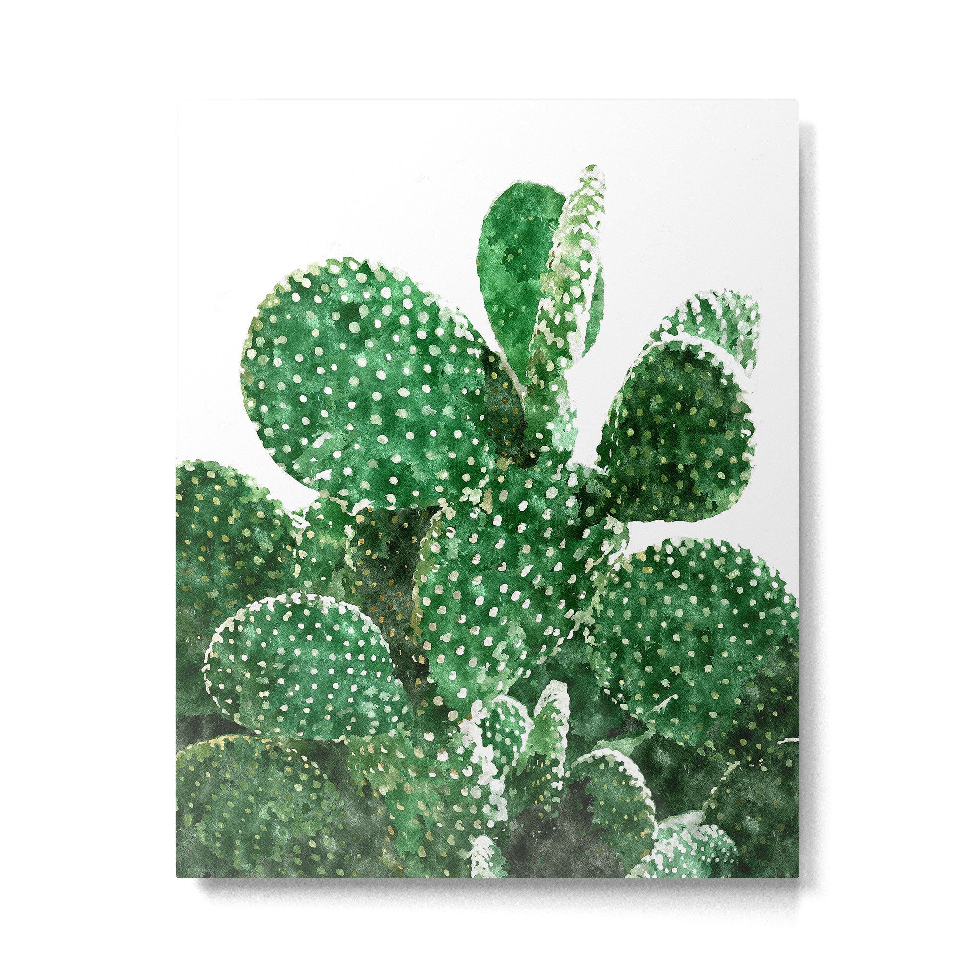Velvet Cactus | Watercolor Botanical Plants | Minimal Boho Scandinavian Painting Metal Print Gallery Image 4