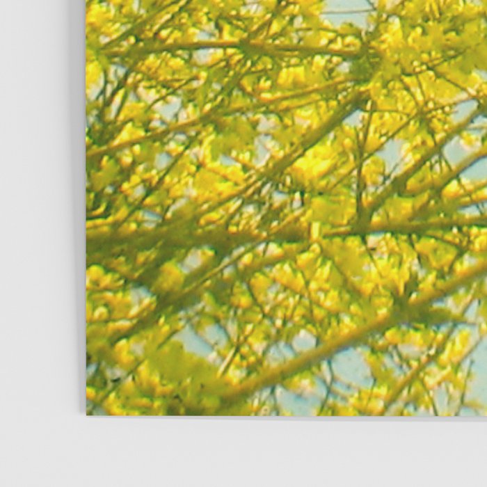 Morning Light Poster Gallery Image 3