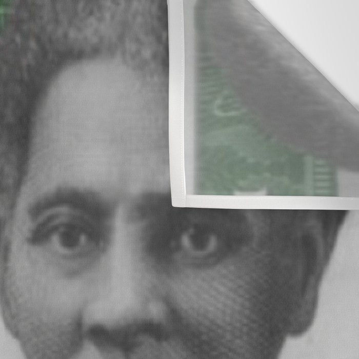 Proposed African American Icon Harriet Tubman Single U.S. Mint 20 Dollar bill Wall Tapestry Gallery Image 3