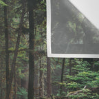 A Walk in the Woods II Wall Tapestry Gallery Image 3