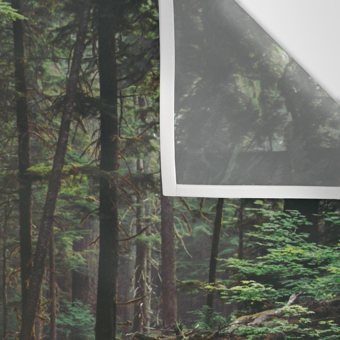 A Walk in the Woods II Wall Tapestry Gallery Image 3