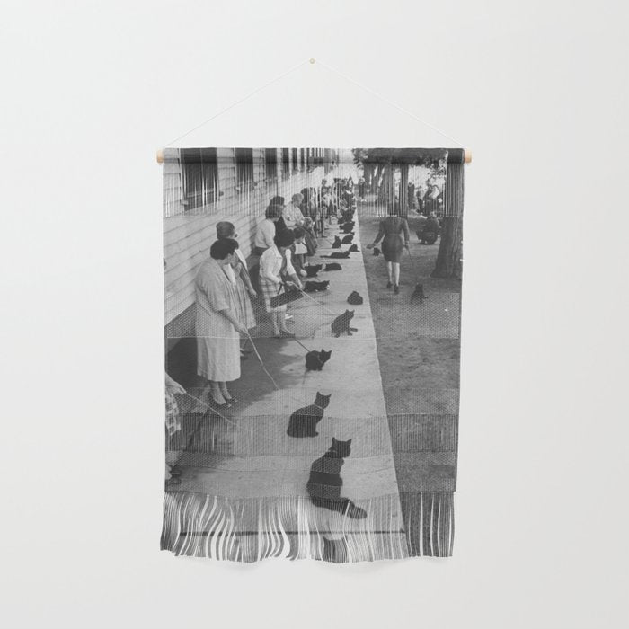 Black Cats Auditioning in Hollywood black and white photograph Wall Hanging Gallery Image 1