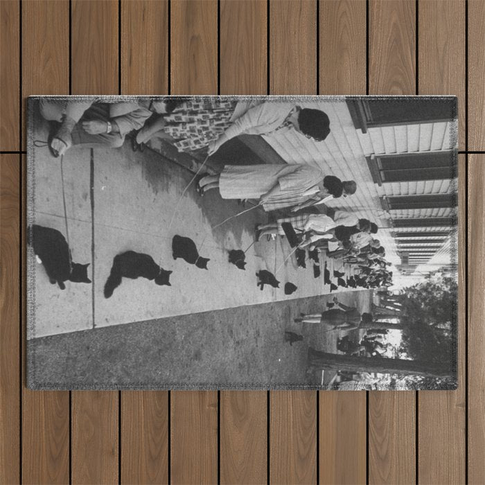 Black Cats Auditioning in Hollywood black and white photograph Outdoor Rug Gallery Image 1