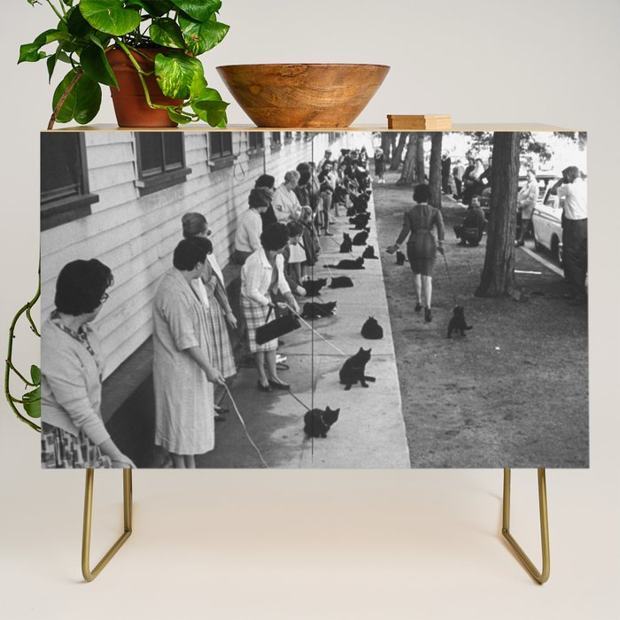 Black Cats Auditioning in Hollywood black and white photograph Credenza Gallery Image 1