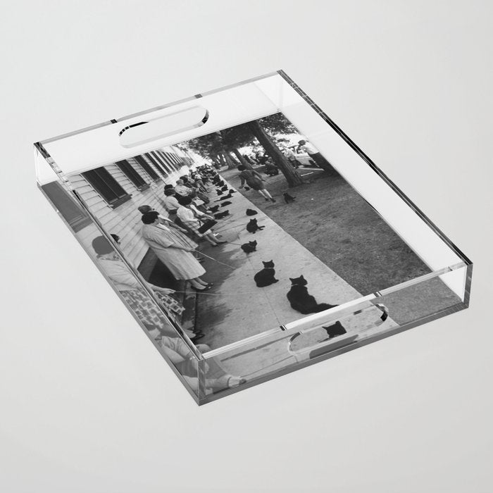Black Cats Auditioning in Hollywood black and white photograph Acrylic Tray Gallery Image 1