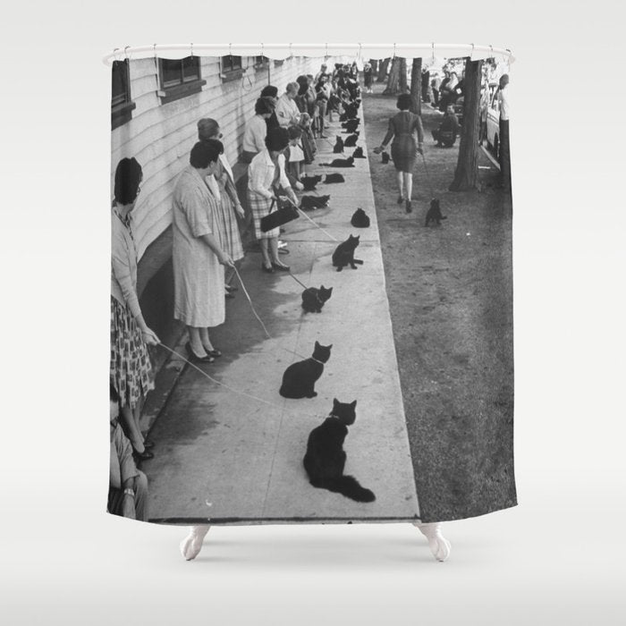 Black Cats Auditioning in Hollywood black and white photograph Shower Curtain Gallery Image 1