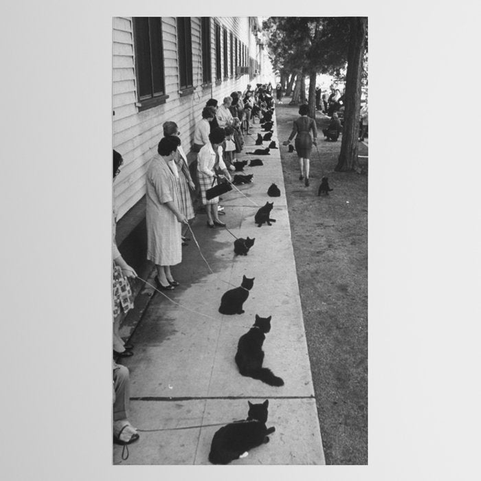 Black Cats Auditioning in Hollywood black and white photograph Tablecloth Gallery Image 2