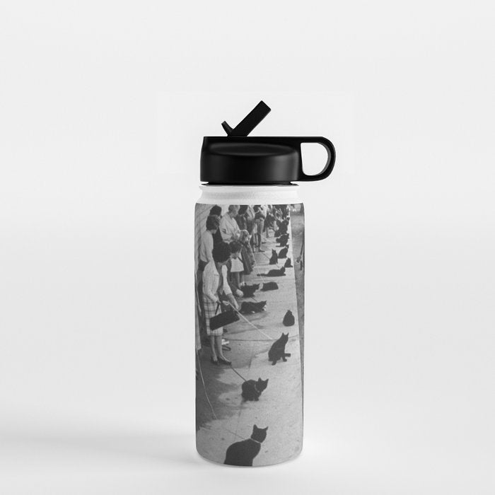 Black Cats Auditioning in Hollywood black and white photograph Water Bottle Gallery Image 1