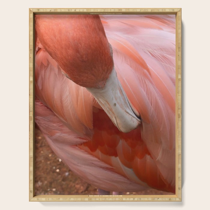 Flamingo Serving Tray Gallery Image 1