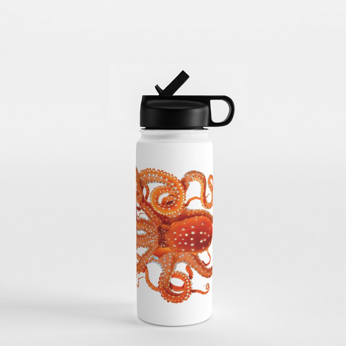 Vintage Octopus Water Bottle Gallery Image 1