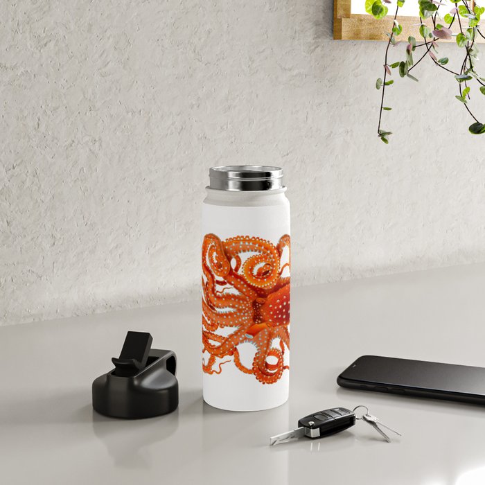 Vintage Octopus Water Bottle Gallery Image 4