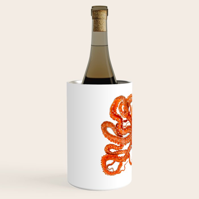 Vintage Octopus Wine Chiller Gallery Image 2