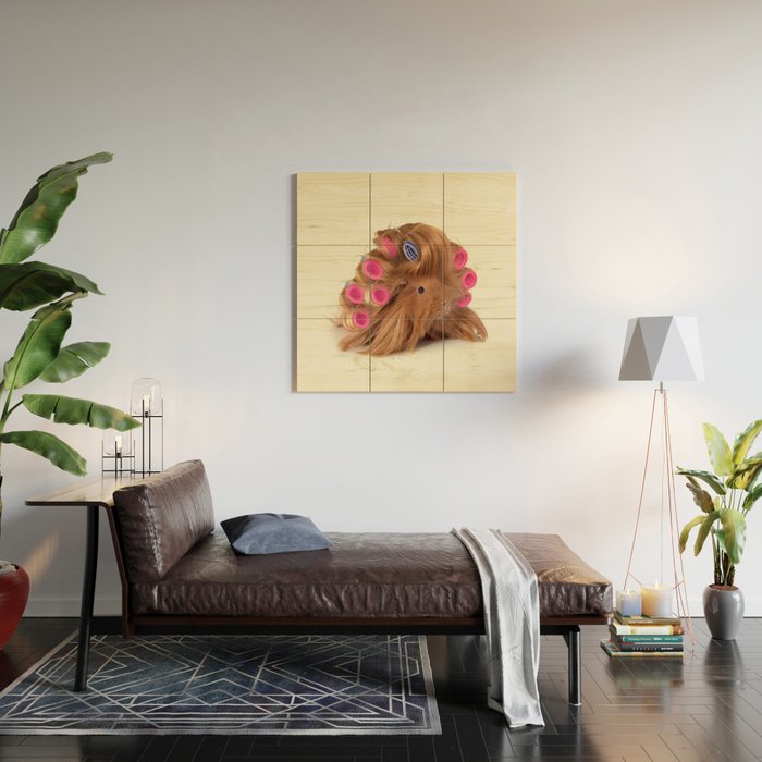 CURLY GUINEA PIG Wood Wall Art Gallery Image 2