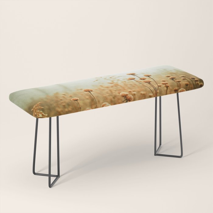 Daybreak in the Meadow Bench Gallery Image 1