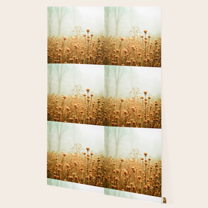 Daybreak in the Meadow Wallpaper Gallery Image 2