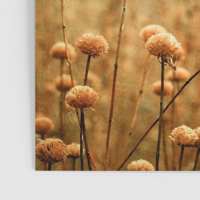 Daybreak in the Meadow Poster Gallery Image 3